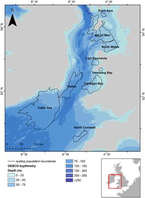 Connectivity between populations of the scallop Pecten maximus in the Irish Sea and the implications for fisheries management